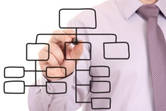 Organization