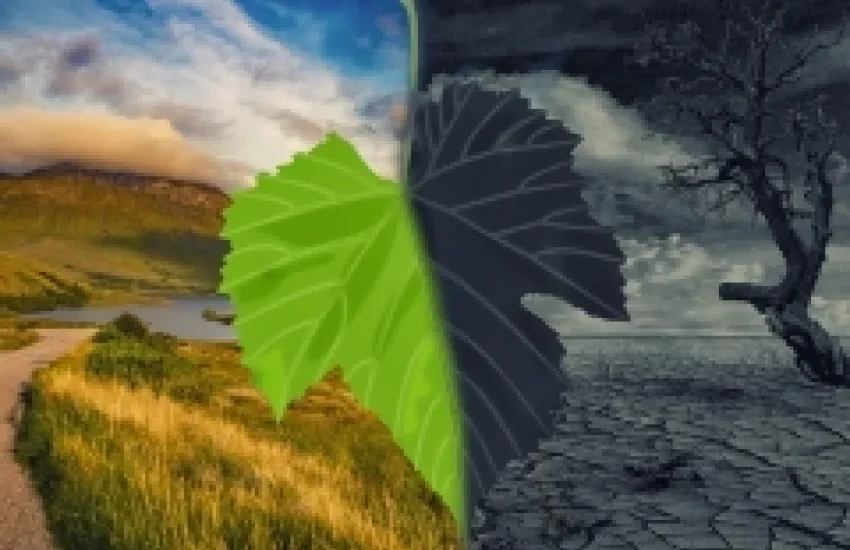 climate change